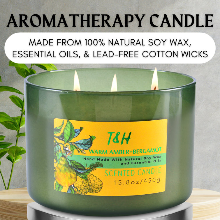 Symple Stuff Warm Amber Bergamot Scented Candle Wayfair Canada